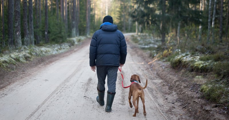 Où camper avec un chien dans la Drôme : nos spots préférés