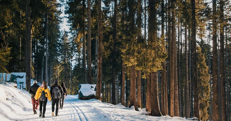 La liste de matériel bivouac qui tient vraiment dans un sac